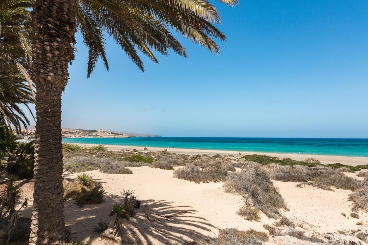 Home2Book Cozy Apt Near The Beach In غران تاراغال المظهر الخارجي الصورة